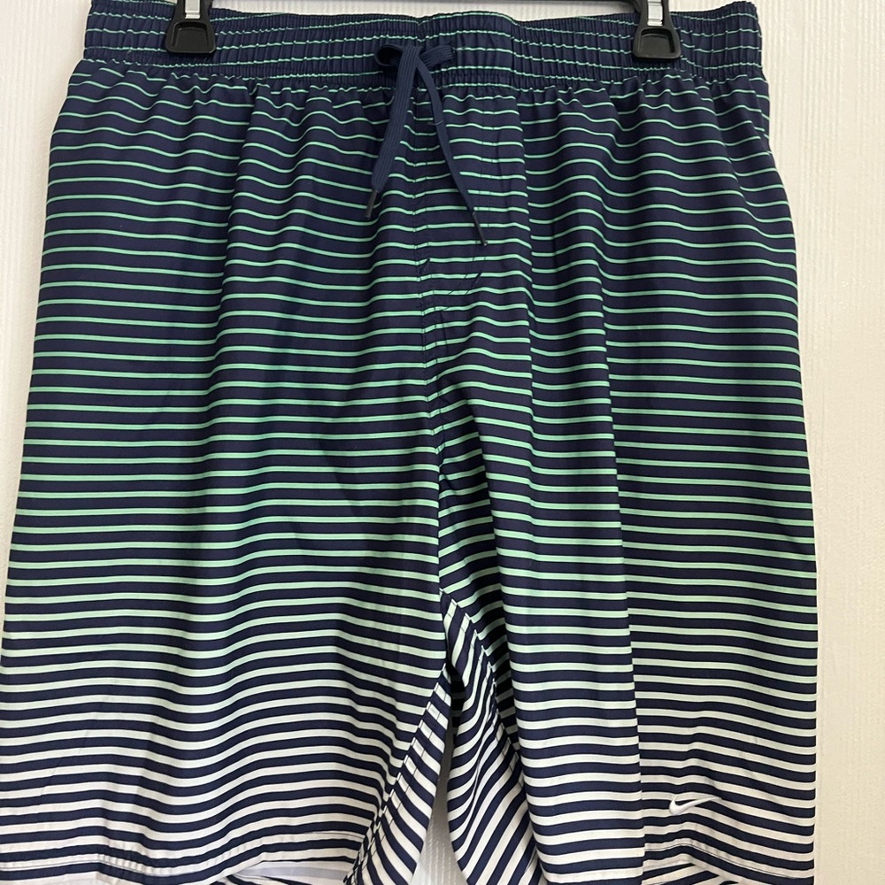 Nike Blue and White Striped Men's Swim Shorts